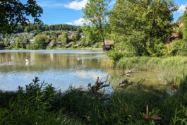 Halle 58 Architekten